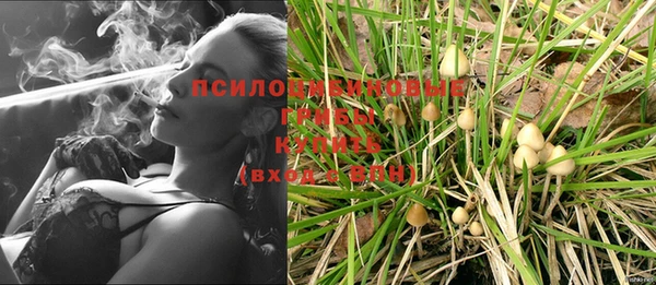 МДПВ Армянск