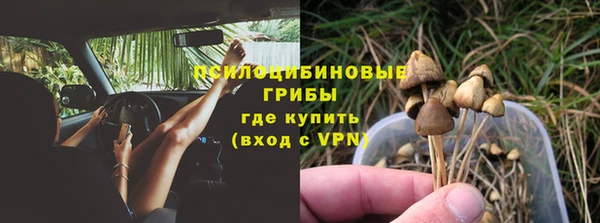 прущий лед Арсеньев
