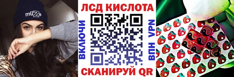 дарнет шоп  Приволжск  Марки NBOMe 1,8мг 