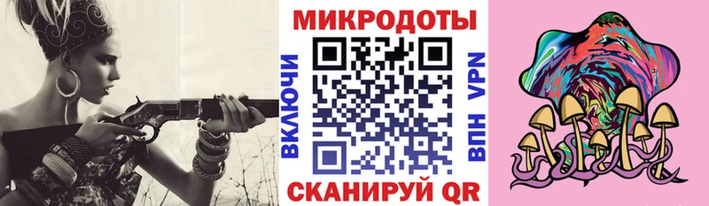 магазин  наркотиков  Приволжск  Псилоцибиновые грибы прущие грибы 