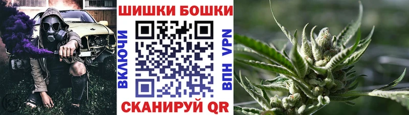 Бошки марихуана THC 21%  цена   Приволжск 